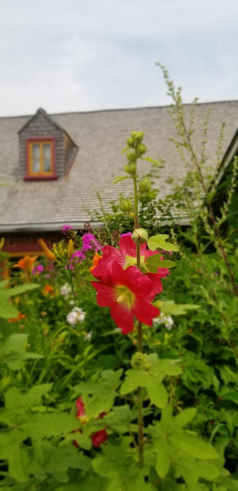 Saint-Laurent-de-l'ile d'Orleans 勒皮蒂特博纳尔旅舍旅舍 外观 照片