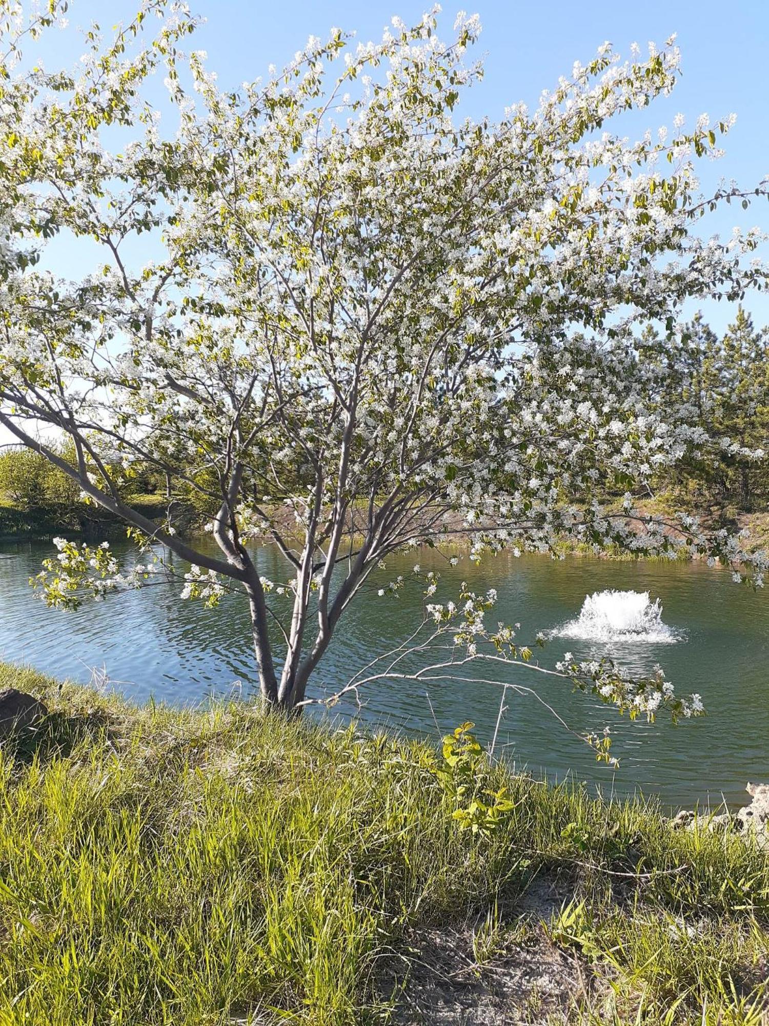 Saint-Laurent-de-l'ile d'Orleans 勒皮蒂特博纳尔旅舍旅舍 外观 照片